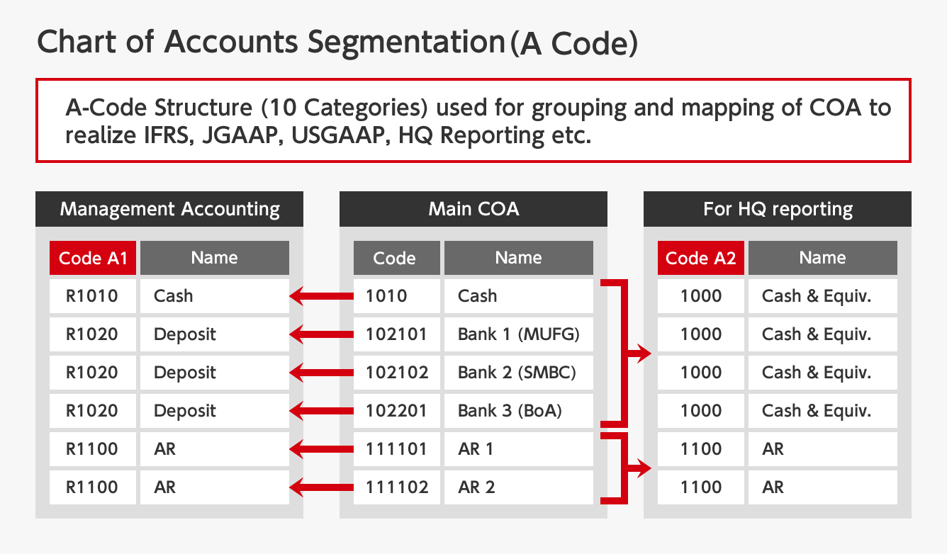 Chart of Accounts Segmentation(A Code)